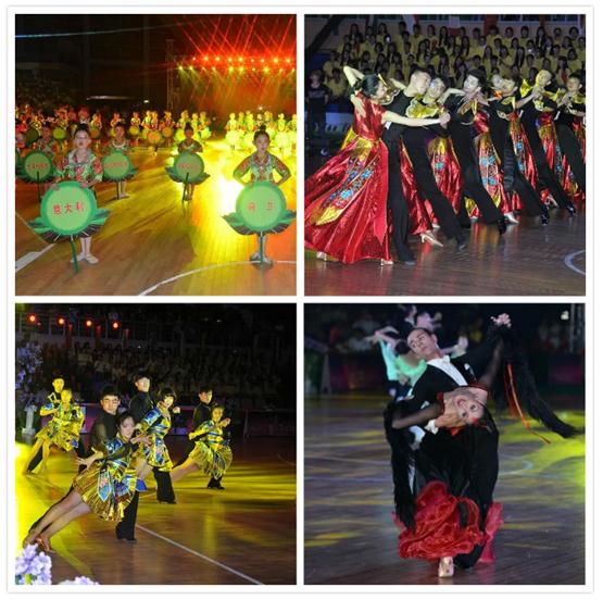 第六届友好城市体育舞蹈全国精英赛包头启幕(图1)